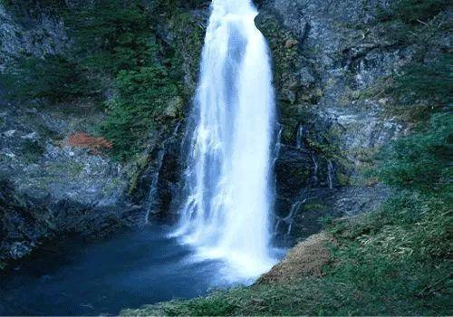 关系硬!哈姆回应解雇:我和珍妮、佩林卡同一阵线引热议