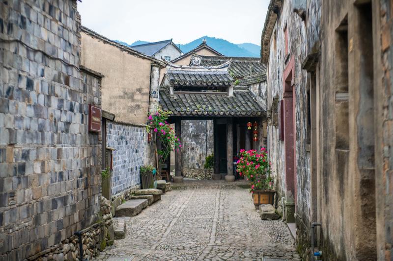 动物帮帮忙保卫家园